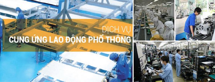 Hình ảnh đội ngũ lao động phổ thông chất lượng tại Giúp Việc Trung Thành