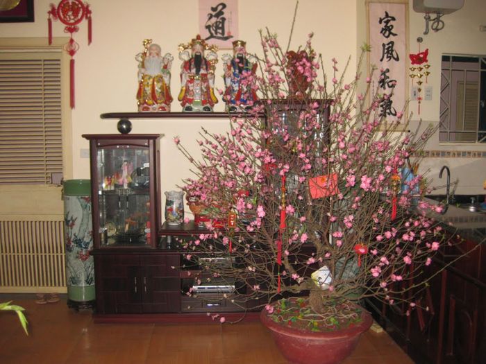 Ảnh minh họa 1