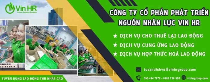Hình ảnh đội ngũ chuyên gia nhân sự tại Vin HR