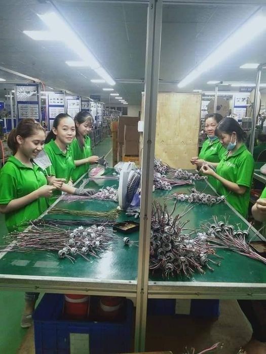Hình ảnh hệ thống quản lý nhân sự hiện đại tại Vin HR