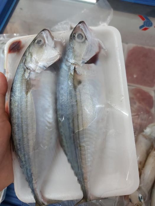 Góc Chợ Xanh - Khoảnh khắc lựa chọn thực phẩm chất lượng