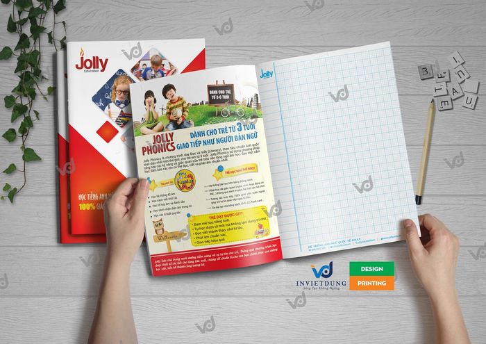 Bộ sưu tập catalogue ấn tượng từ In ấn Việt Dũng