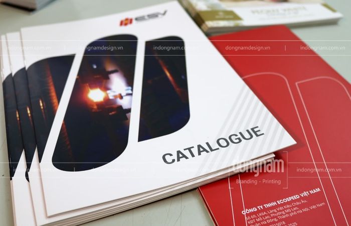 Bộ sưu tập catalogue cao cấp từ In Đông Nam