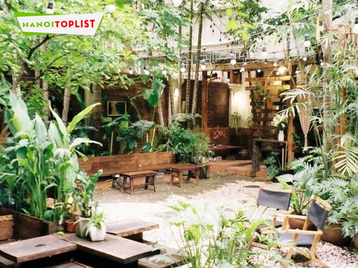 cafe-vuon-ha-noi-cafe-vuon-tre-Tripi