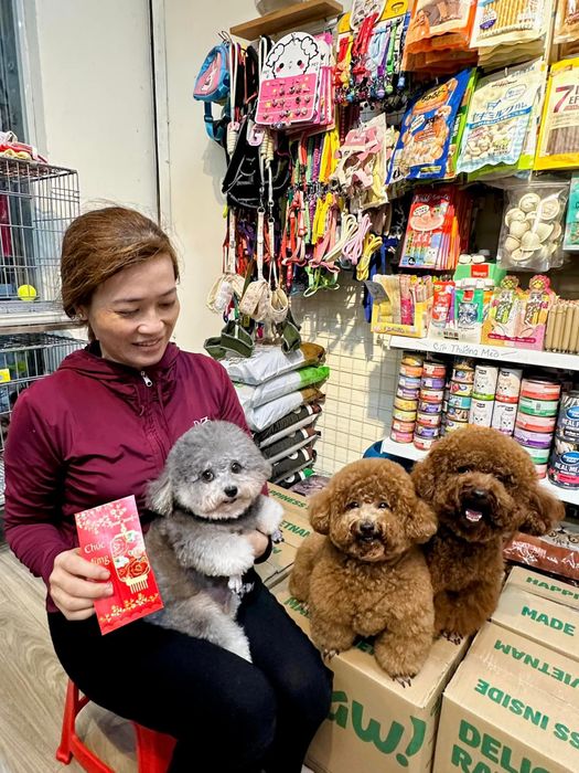 HAPPY PET - ảnh 2