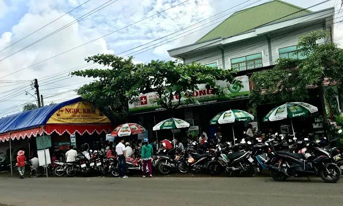Vật tư Nông nghiệp Tô Đồng - Hình ảnh 2