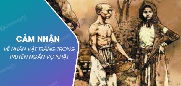 Hình ảnh minh họa đặc sắc (Nguồn: Internet)