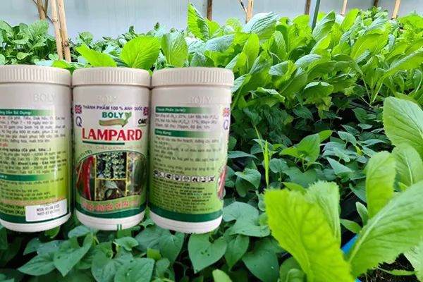 Vật tư Nông nghiệp Quý Thành 118 - Hình ảnh 1