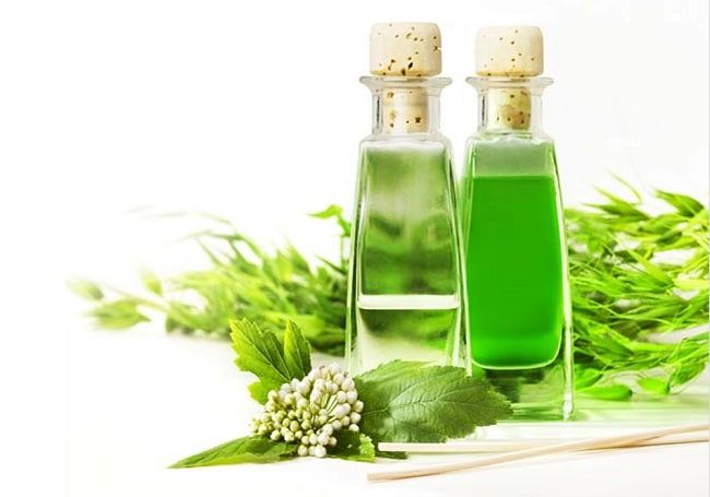 Kim Thư tự hào lọt top 5 địa chỉ cung cấp tinh dầu chất lượng và uy tín bậc nhất TP.HCM