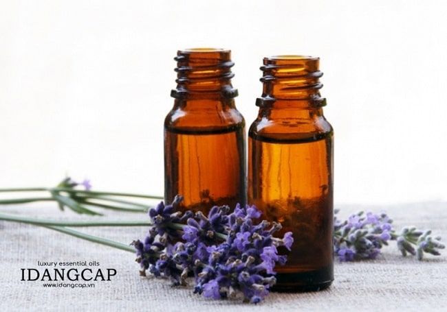 IDANGCAP Việt Nam vinh dự nằm trong top 5 địa chỉ mua tinh dầu uy tín và chất lượng nhất TP.HCM