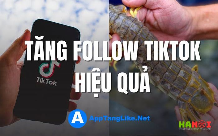 phuong-phap-tang-follow-tiktok-toi-uu