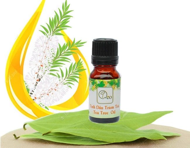 Vinh dự nằm trong Top 5 địa chỉ vàng về tinh dầu chất lượng nhất TP.HCM, OLEO tiếp tục khẳng định vị thế dẫn đầu với các sản phẩm đạt chuẩn quốc tế và dịch vụ chuyên nghiệp.