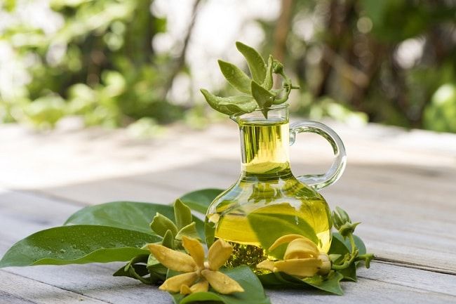Vinh dự lọt Top 5 thương hiệu tinh dầu uy tín nhất TP.HCM, IDANGCAP Việt Nam tự hào phân phối các dòng tinh dầu nhập khẩu chất lượng cao, đạt chuẩn quốc tế.