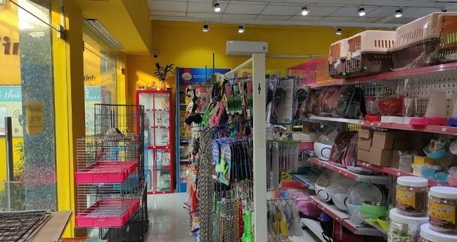 Không gian ấn tượng tại Petxinh