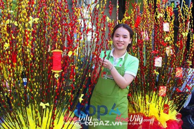 Địa chỉ vàng cung cấp nụ tầm xuân giá tốt nhất TP.HCM