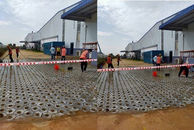 Hình ảnh thực tế từ GreenChampa