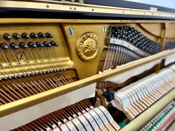 Hình ảnh Piano Đồng Nai 1