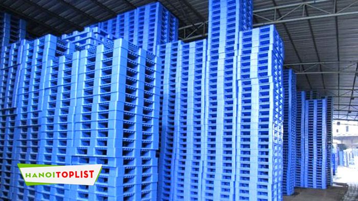 cong-ty-tia-sang-moi-pallet-nhua-Mytour