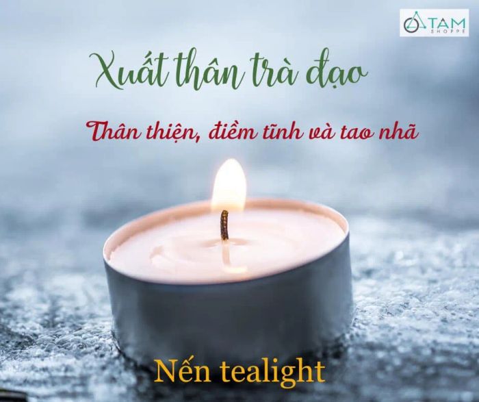 Bộ sưu tập nến thơm đa dạng tại Tâm Nguyễn Shop - Tâm Shoppe