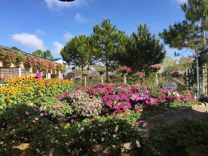 Spring Garden Coffee - Ảnh 1
