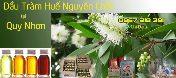Dầu tràm Huế nguyên chất tại Quy Nhơn ảnh 1