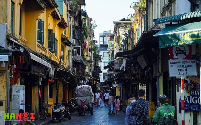 Khu-pho-co-ha-noi-Tripi