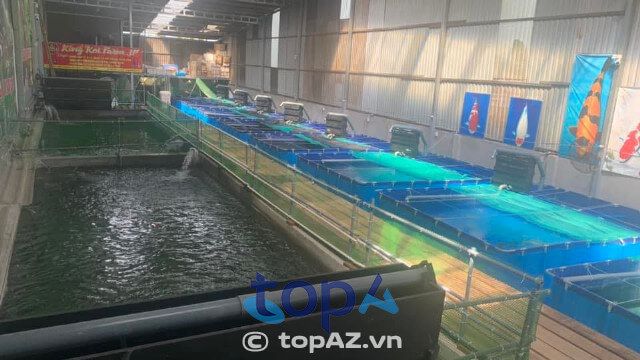 King Koi Farm Japan