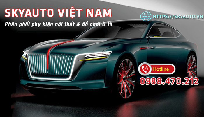 SkyAuto Việt Nam - Hình ảnh 1