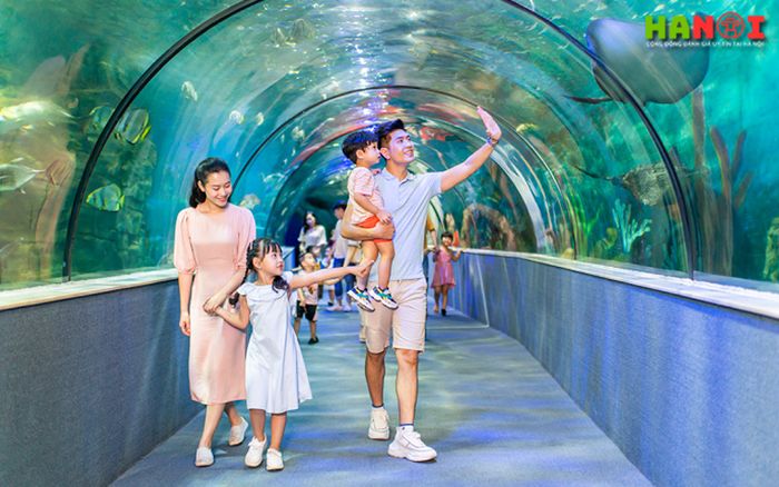 Vinke-thuy-cung-times-city-Tripi