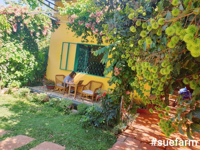 Sue's Homestay/Farmstay - Sài Gòn, Việt Nam ảnh 1