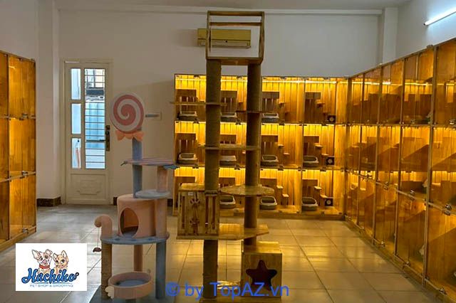 Các cửa hàng phụ kiện thú cưng tại Quận 10 đều đảm bảo chất lượng vượt trội
