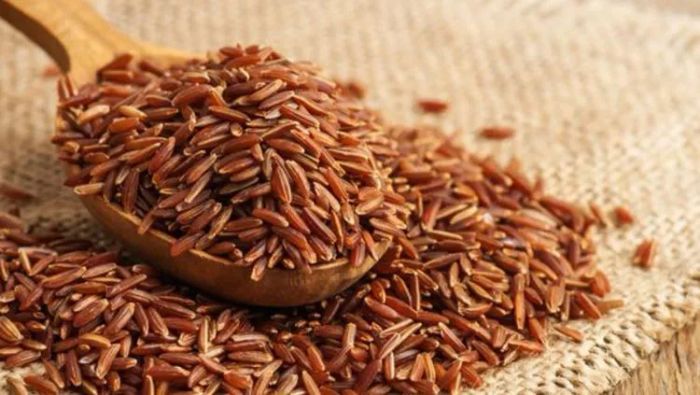 Hệ thống kho hàng hiện đại tại Gạo Ơi Đà Nẵng
