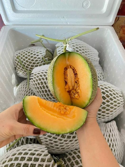 Thiên đường trái cây sạch và nhập khẩu cao cấp tại Quận 12