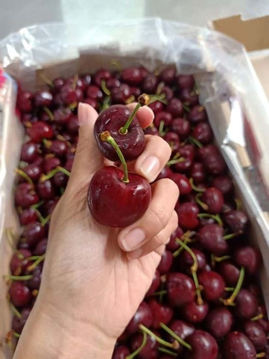 Thiên đường trái cây sạch và nhập khẩu đẳng cấp tại Quận 12