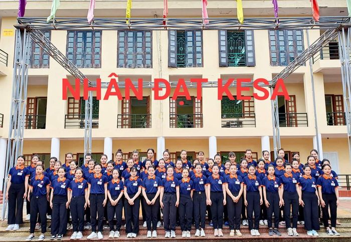 Công Ty Cổ Phần Nhân Đạt - Kesa Group ảnh 2
