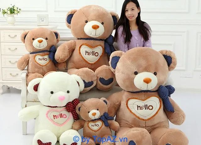 Điểm đến lý tưởng cho những ai tìm kiếm shop gấu bông đẹp tại Hà Nội