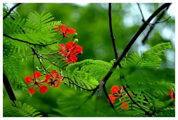 Khoảnh khắc lưu niệm ngày tổng kết (Phần 8)