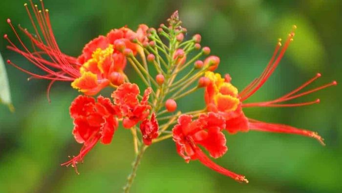 Khoảnh khắc lưu niệm cuối năm (Phần 10)