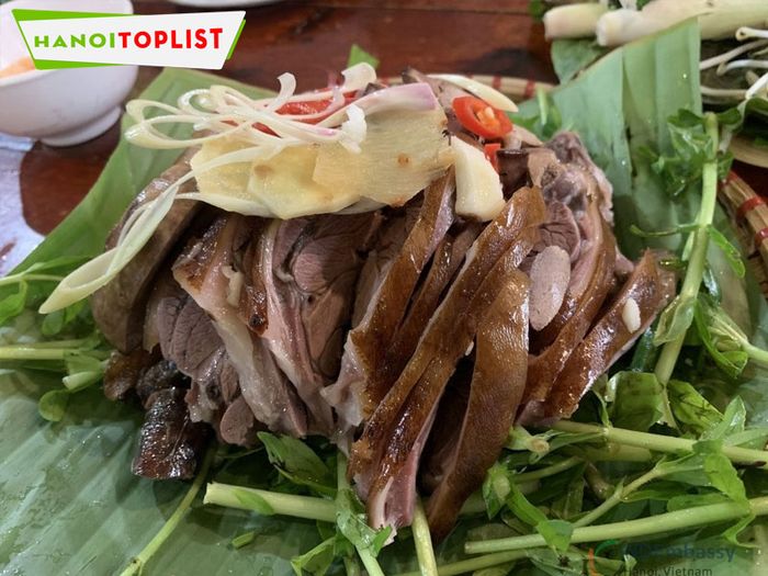 Quán Thịt Chó Việt Trì – một điểm đến lý tưởng cho những tín đồ yêu thích thịt chó. Với thực đơn phong phú từ thịt chó luộc, dồi chó, đến các món xáo măng đặc trưng, quán còn nổi bật với món chả chó thơm ngon, thịt nướng mềm mại, đậm đà. Không gian quán thoáng đãng tạo nên không khí thư giãn tuyệt vời cho thực khách.