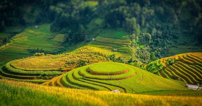 Hình ảnh minh họa tác phẩm (Nguồn: Tư liệu văn học)