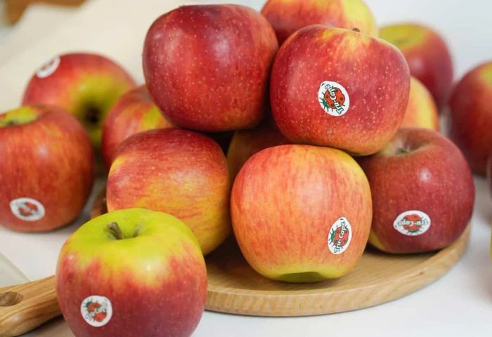 Thiên đường trái cây sạch và nhập khẩu cao cấp tại Bình Chánh