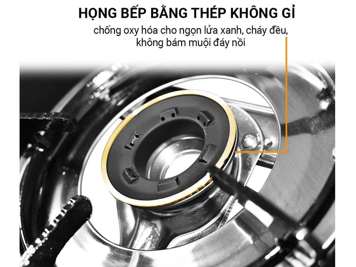 Bếp gas Goldsun  