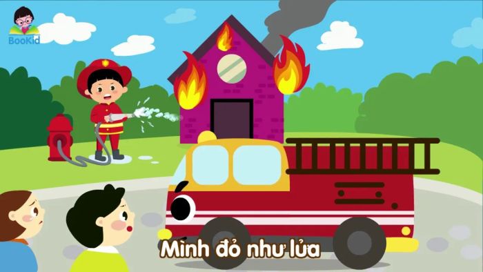 hình ảnh 1