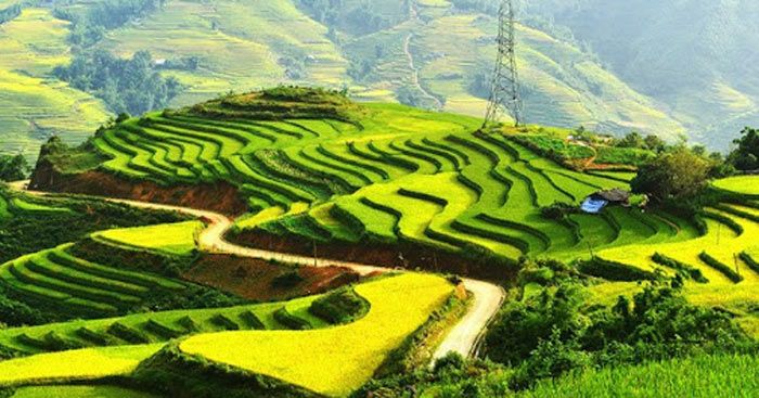 Hình ảnh minh họa nghệ thuật (Nguồn: Kho tàng văn hóa dân tộc)
