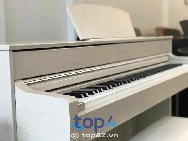 Cửa hàng nhạc cụ ST Music Hà Nội