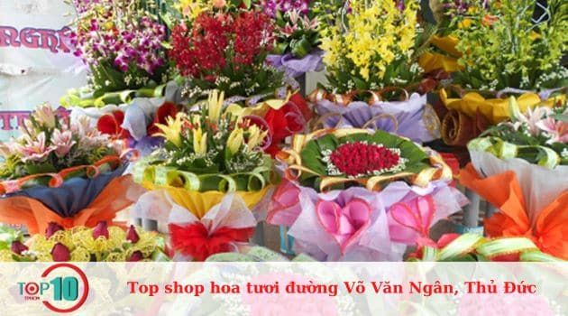 Huỳnh Hiếu - Tinh hoa từ những cánh hoa