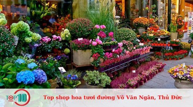 Hân Hân - Tinh hoa nghệ thuật hoa tươi