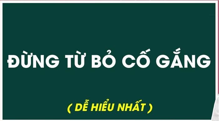 Hình ảnh minh họa số 1 (Nguồn: Internet)
