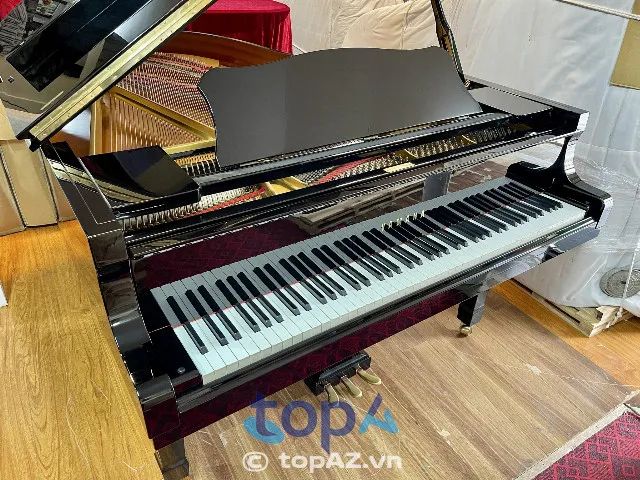Grand PIANO Hà Nội