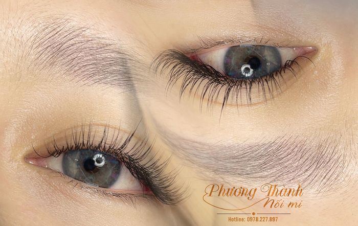 Hình ảnh kỹ thuật nối mi chuyên nghiệp tại Phương Thành